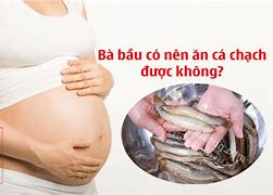 Bà Bầu Ăn Cá Sòng Được Không