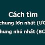 Dẫn Chứng Về Tuổi Trẻ Cần Có Ước Mơ Trong Cuộc Sống Con Người