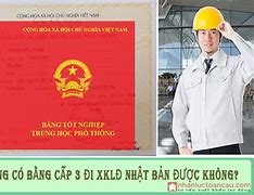 Đi Xuất Khẩu Lao Động Có Cần Bằng Cấp 3 Không Ạ Không