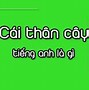 Ly Thân Tiếng Anh Là Gì