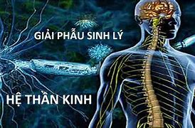 Sinh Lý Học Thần Kinh Tiếng Anh Là Gì